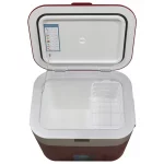 Мобильный холодильник Бирюса НС-22P3 — изображение 9