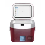 Мобильный холодильник Бирюса НС-22P3 — изображение 6